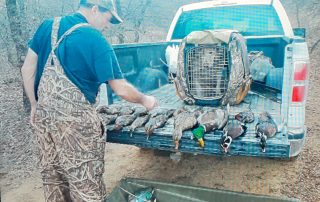 Guided Duck Hunts In North Texas Guided Duck Hunts In North Texas