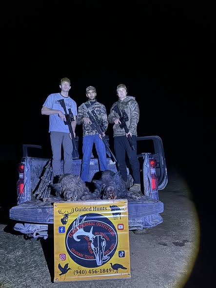 Guided Night Time Hog Hunts In Texas Guided Night Time Hog Hunts In Texas