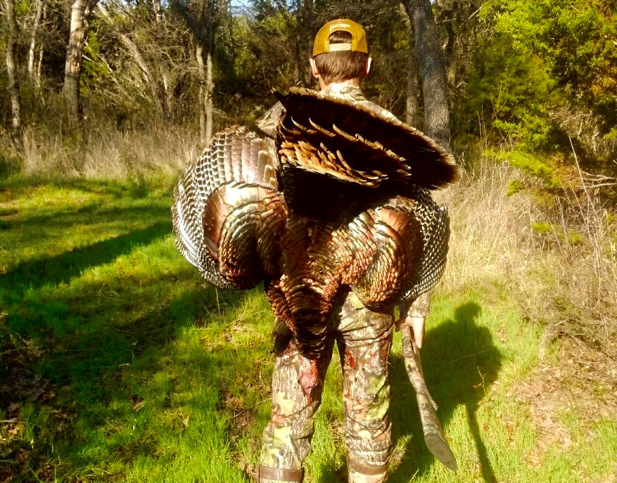 Fully Guided Hunts With Lodging Available For Spring Turkey In Texas