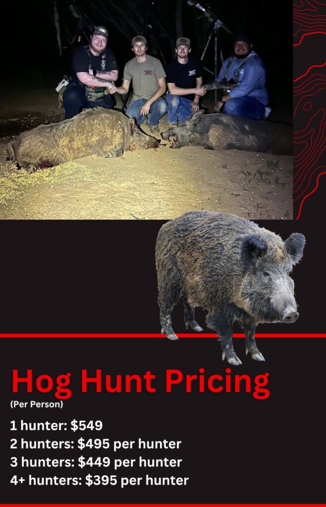 Texas Hog Hunt Pricing For Night Time Hunts Texas Hog Hunt Pricing For Night Time Hunts