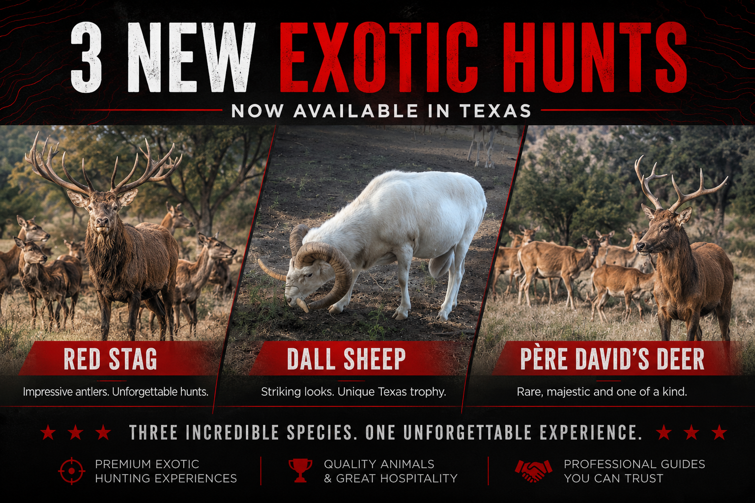 Three New Texas Exotic Hunts Now Available at Texas Thermal Outfitters